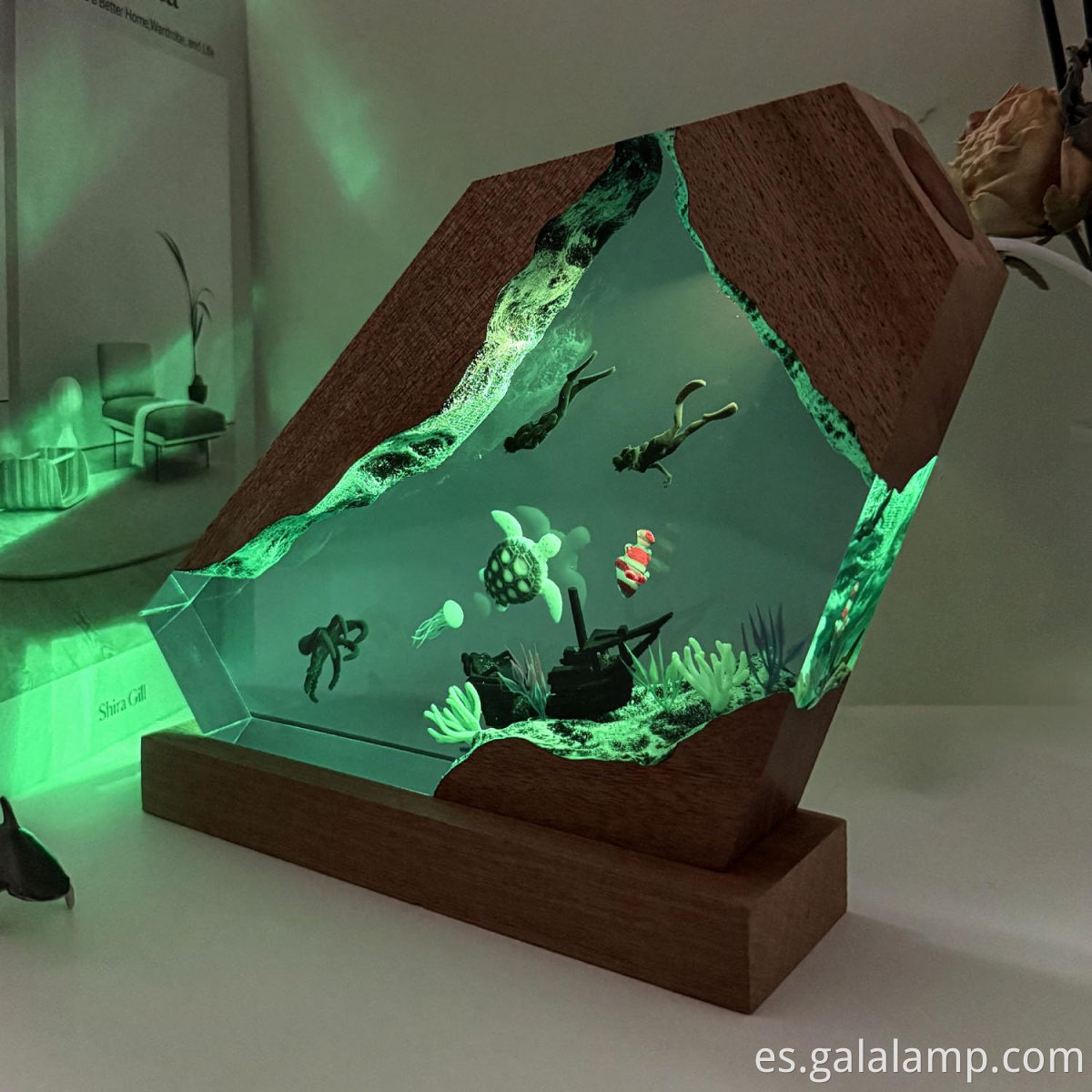 5_71aVml4OfvL._SL1500_